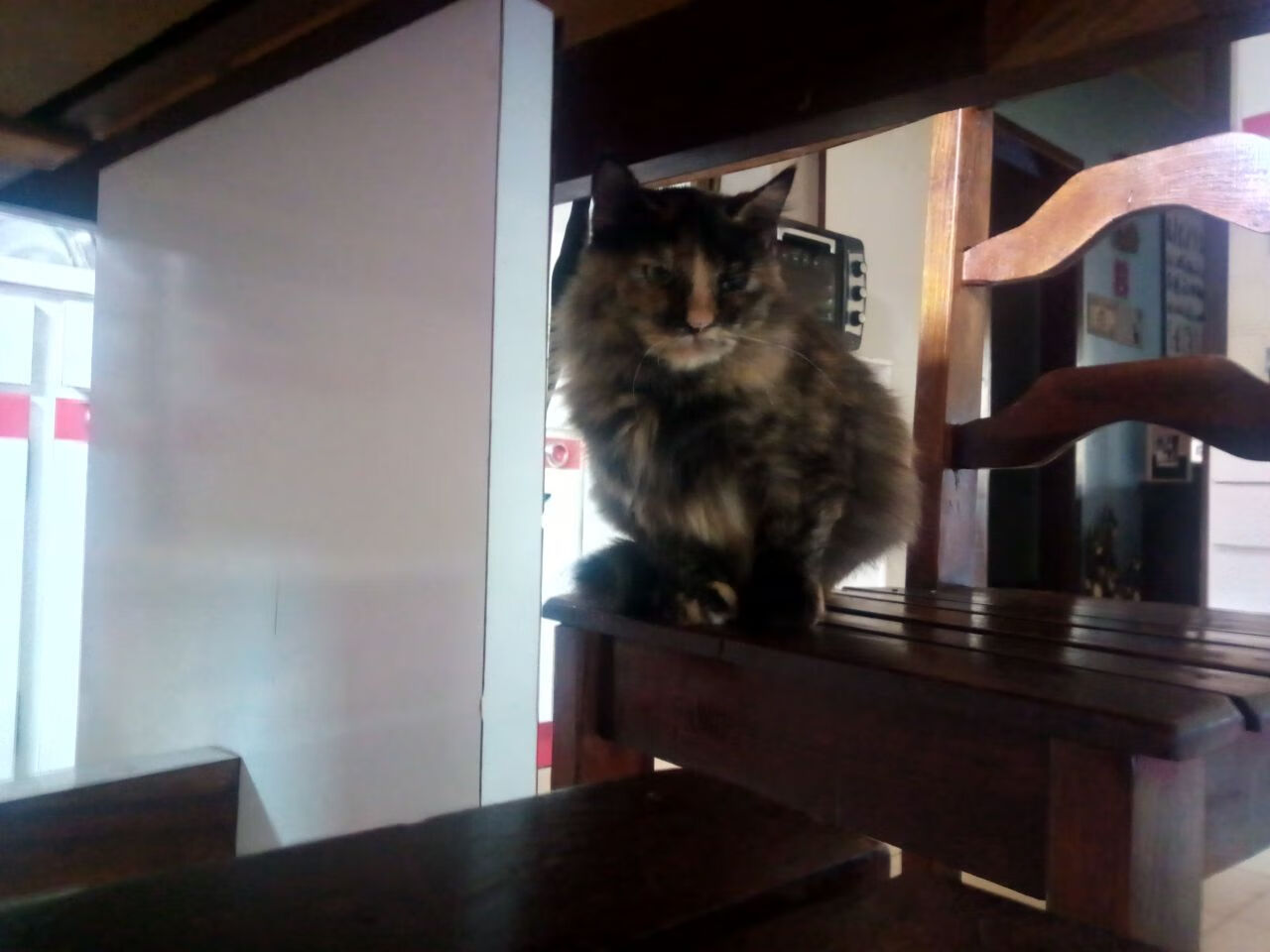 中立B男队整体划频控制能力提升