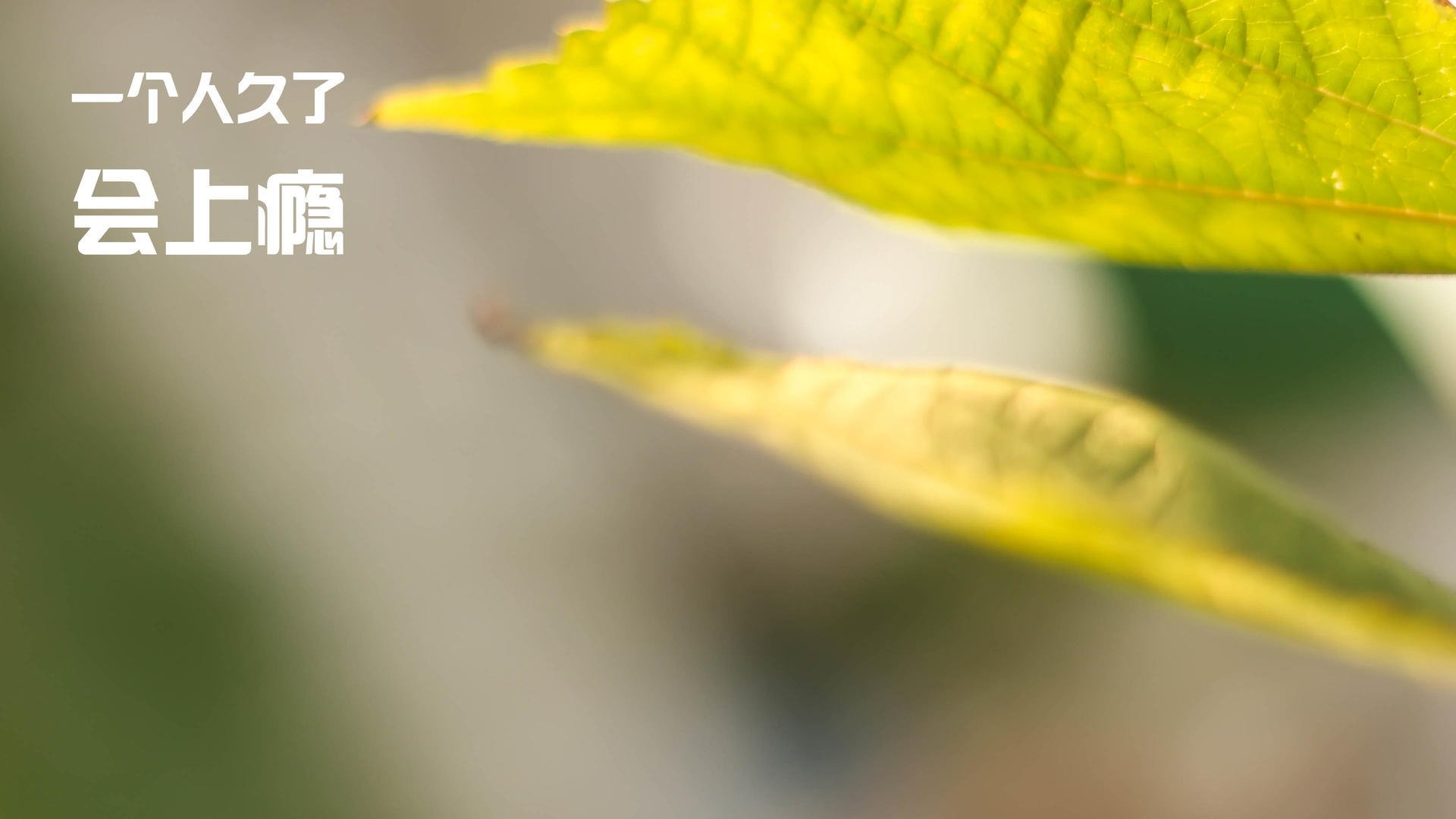 全民健身周活动与博物馆联动打造互动体验，全民健身活动报道